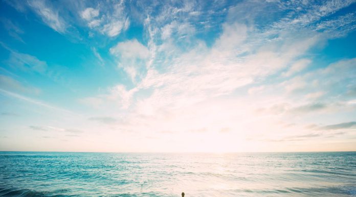 4 không gian lý tưởng tại Hà Nội cho người không thích ‘ồn ào’